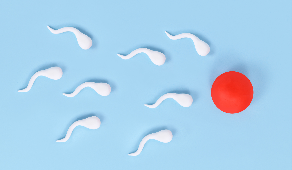 Family Building Options: Using an Egg or Sperm Donor