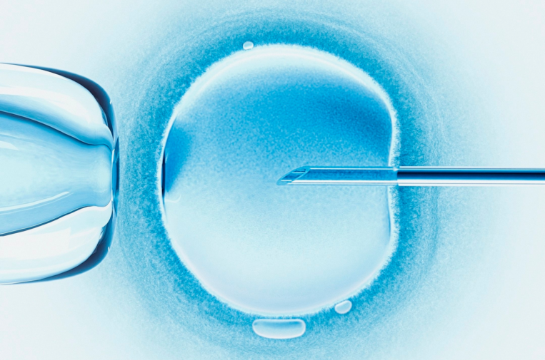 Embryology and Making Miracles