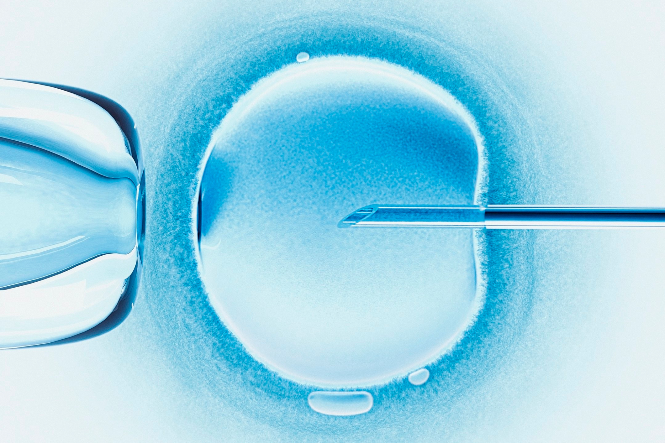 Embryology and Making Miracles