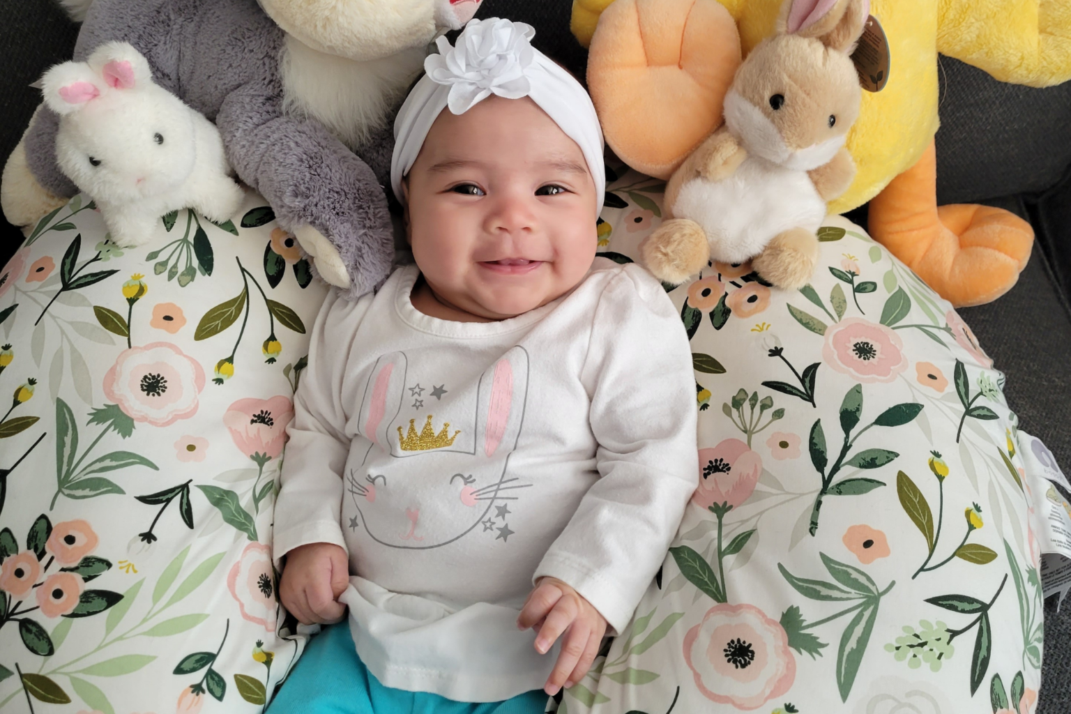 Fertility Centers Of Illinois Warrenville Il Melany | Fertility Centers of Illinois