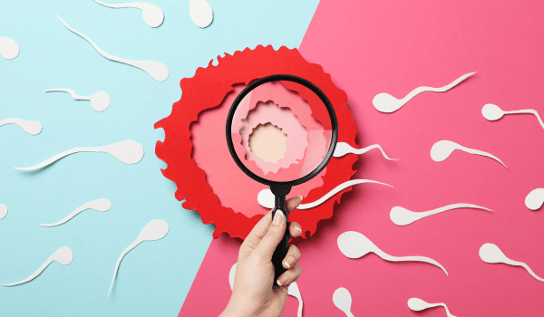 Fertility Testing Explained: What Tests Tell You