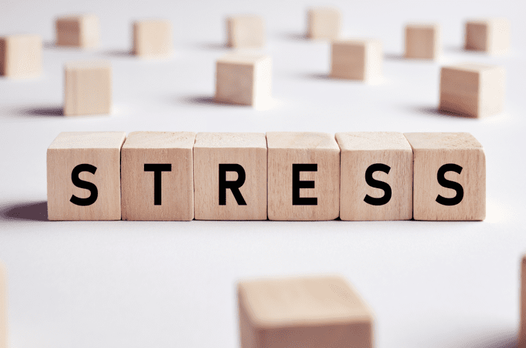 Stress and Fertility