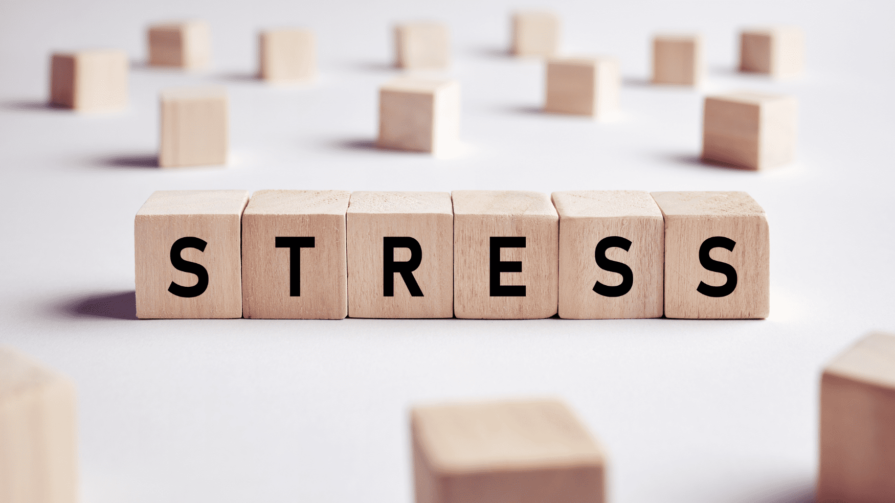 Stress and Fertility