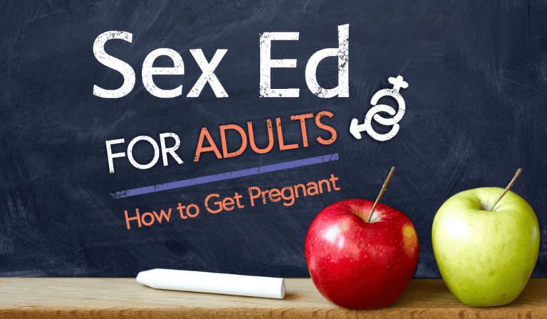 Sex Ed for Adults
